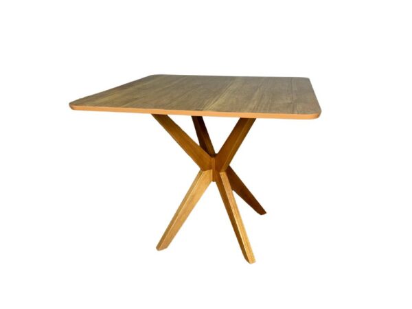 Mesa de Jantar Simpatia 0,90x0,90 Quadrada Com 4 cadeiras Jasmim - Cinamomo/Bege - Image 4